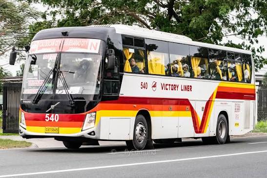 Buses